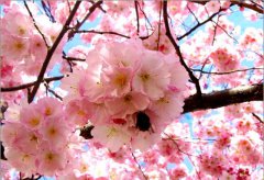 2014-04-29&nbsp;в&nbsp;11:56:57